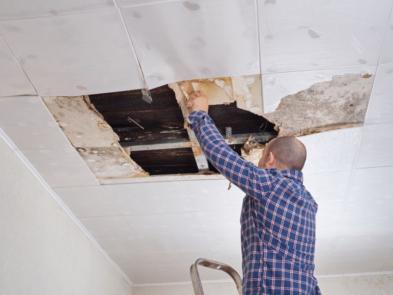 Bedroom Ceiling Repair in Olathe, KS