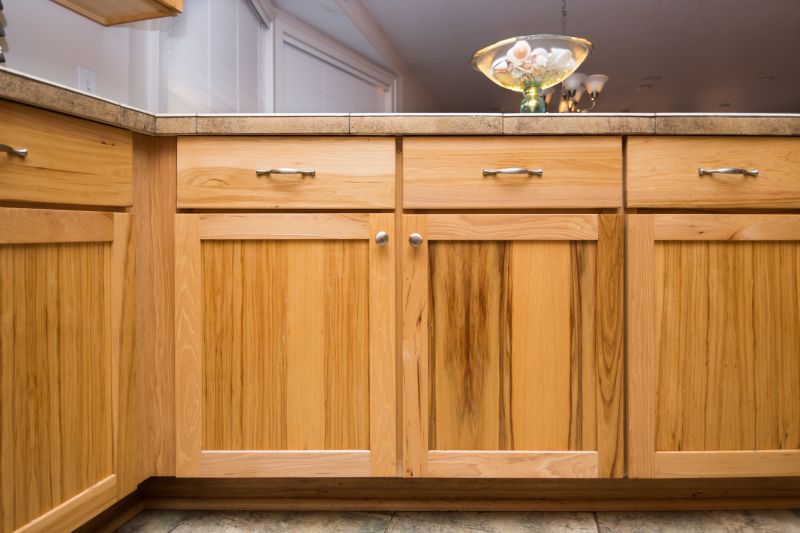 Built In Cabinetry Staining in Terre Haute, IN