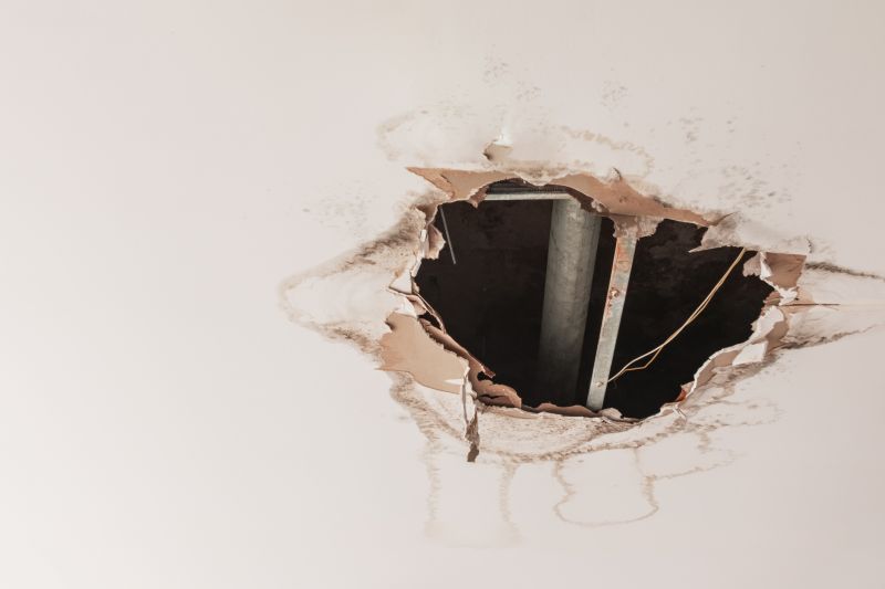 Ceiling Drywall Repair in Conroe, TX