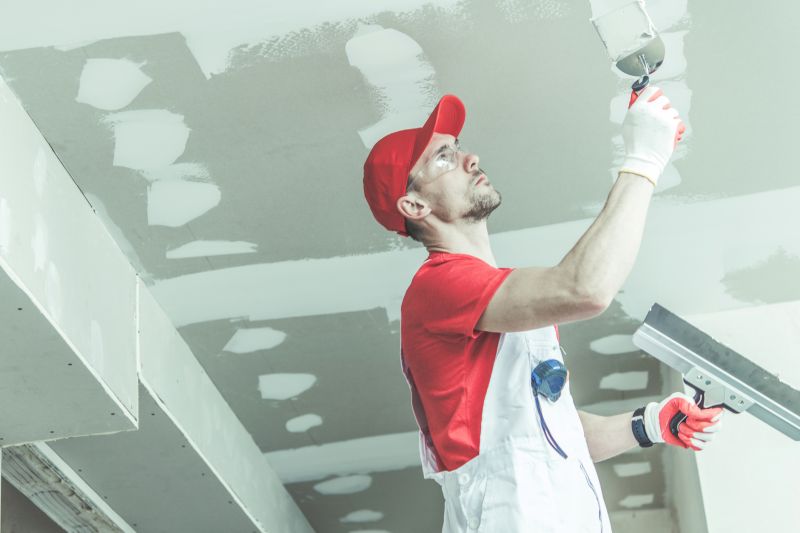 Ceiling Repair Service in Olathe, KS