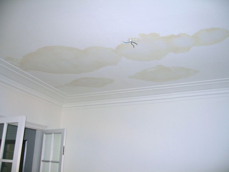 Ceiling Water Damage Repair in Olathe, KS