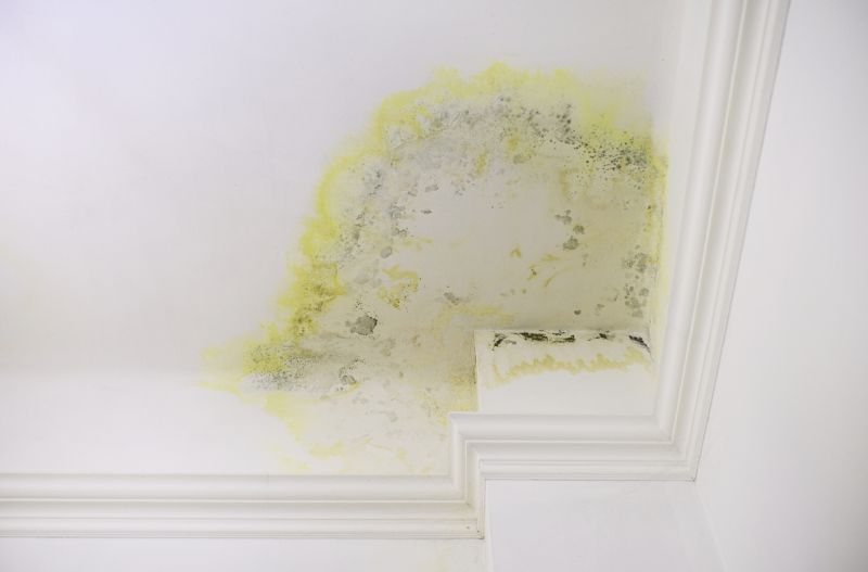 Crown Molding Painting in Wilmington, NC